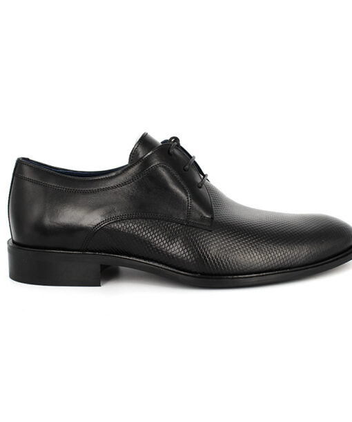 Alternative view of DAMIANI (192)-BLACK