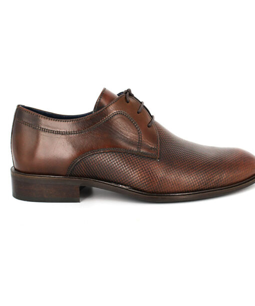 Alternative view of DAMIANI (192)-BROWN