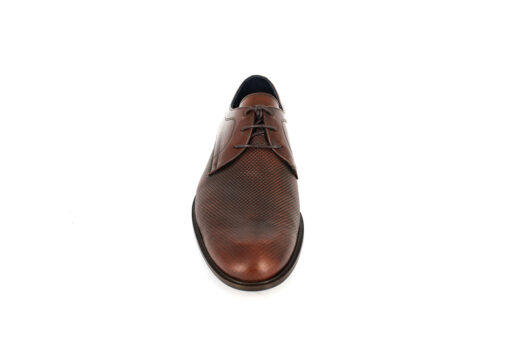 DAMIANI (192)-BROWN - Image 4