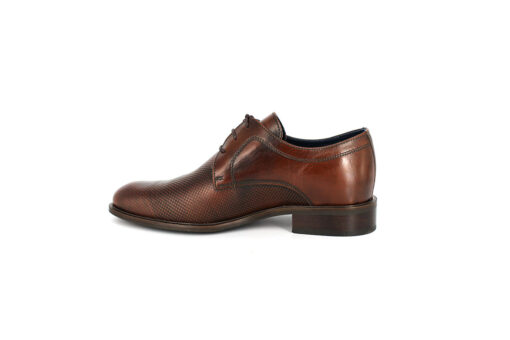 DAMIANI (192)-BROWN - Image 3