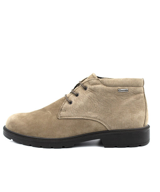 Alternative view of IGI&CO (8102255)-FANGO