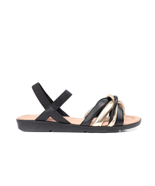 Alternative view of PICCADILLY-DANIELE (401249-1)-PRETO