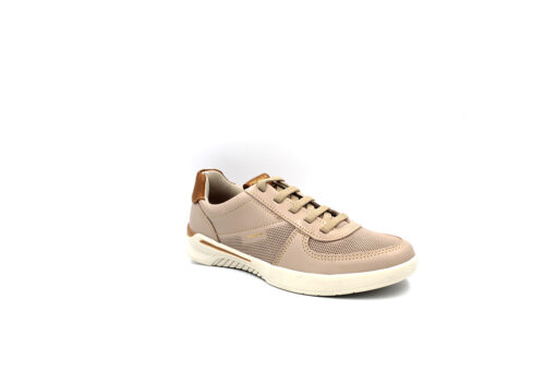 PEGADA (210101-02)-NAPA NEW CREME