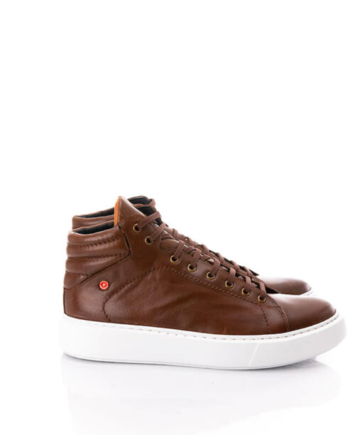 Alternative view of ROBINSON (69106)-BROWN