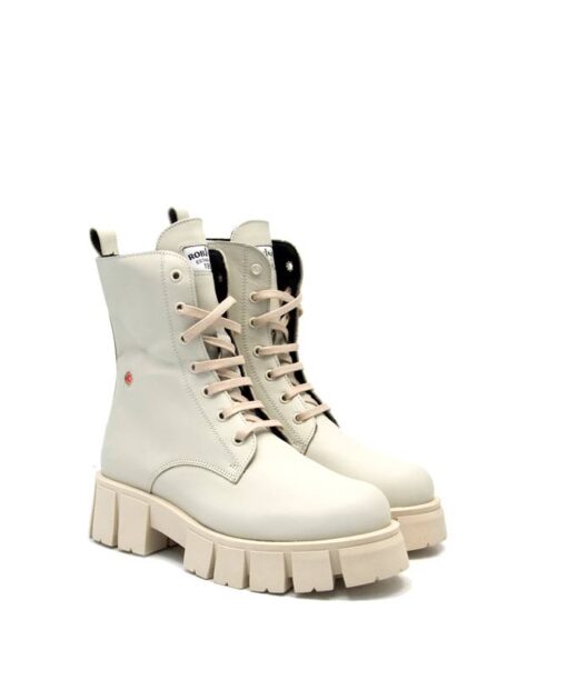 ROBINSON (113418)-ICE