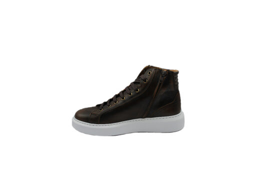 DAMIANI (3800)-BROWN - Image 3