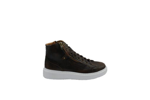 DAMIANI (3800)-BROWN - Image 2
