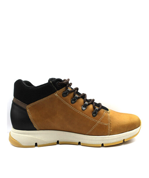 Alternative view of HIMALAYA (3100)-CAMEL-NEGRO