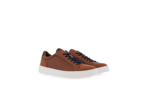 RENATO GARINI-TORINO-2022 (Q5700022142A)-TAN-NAVY-DK RED PERFORATED