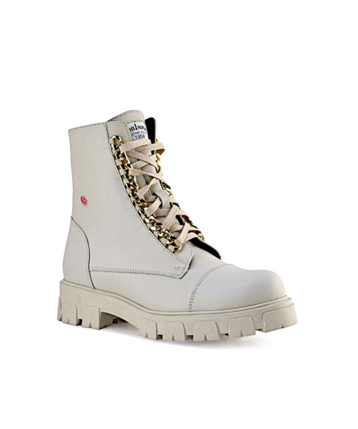 ROBINSON (113330)-ICE