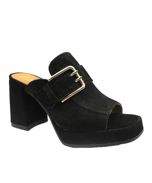 Alpe (2567-11-05)-NEGRO