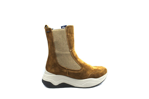 IGI&CO (2675611)-COGNAC - Image 2