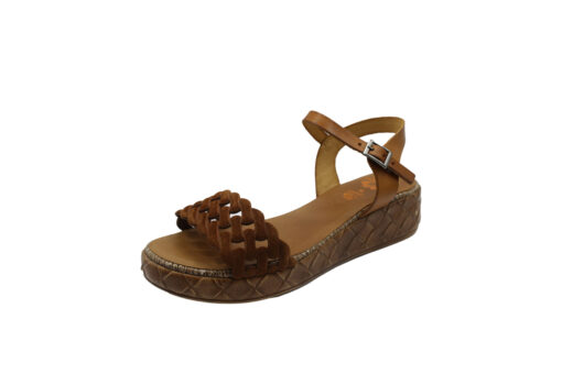 PORRONET (FI2827-065)-AVELLANA