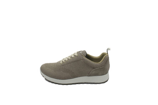 IGI&CO-(3627222)-BIEGE - Image 3