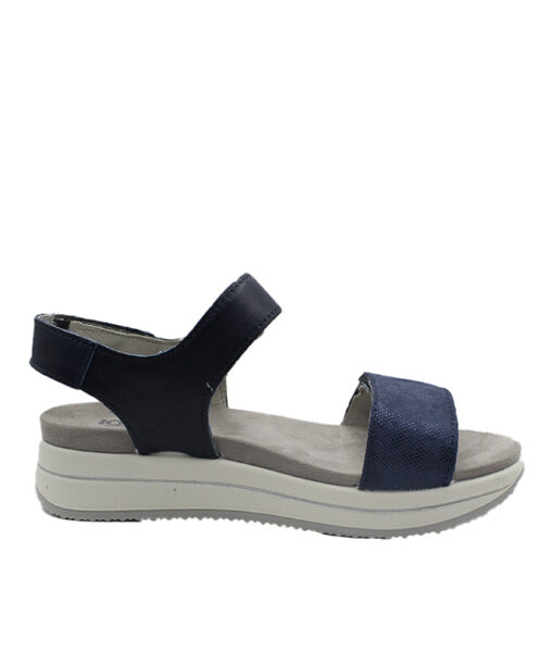 Alternative view of IGI&CO-(3677344)-BLUE