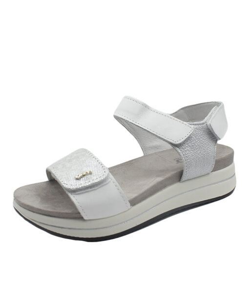 IGI&CO-(3677355)-CRY8
