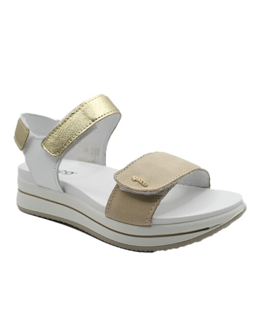 IGI&CO-(3677300)-BEIGE