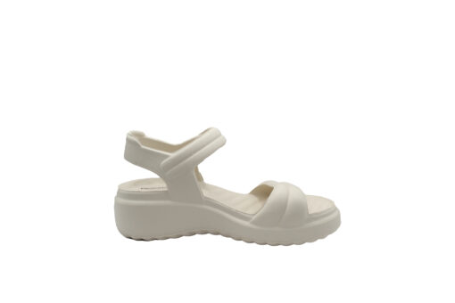 PICCADILLY (C226001-6)-OFF WHITE - Image 2