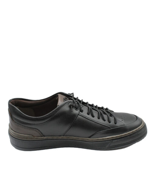 Alternative view of Democrata (240106-004)-PRETO-TABACO