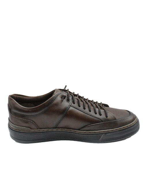 Alternative view of Democrata (240106-005)-TOBACO