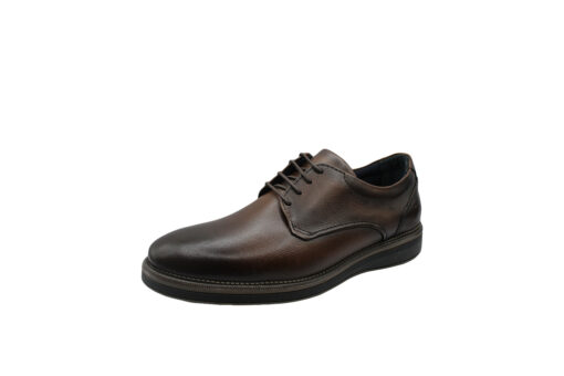 Democrata (298108-004)-MONGO