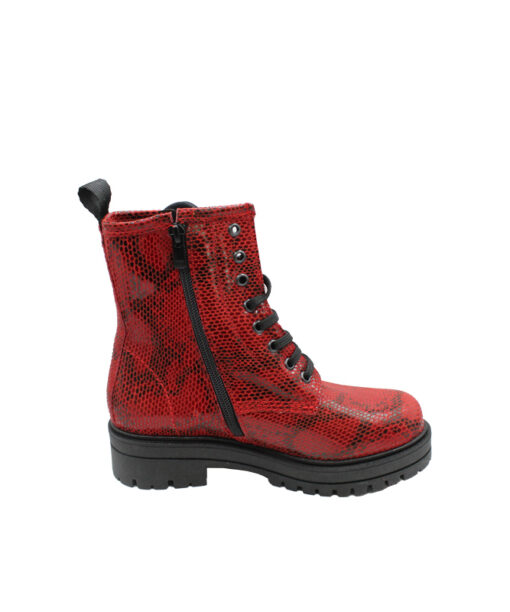 Alternative view of ROBINSON (129660)-RED