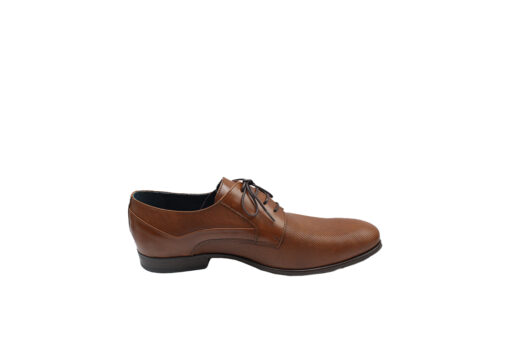 DAMIANI (1195)-TAMPA - Image 2