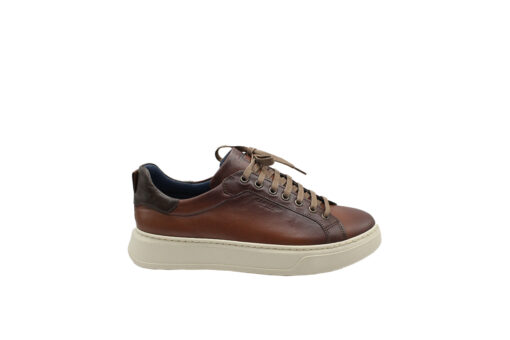 DAMIANI (4306)-COGNAC - Image 2