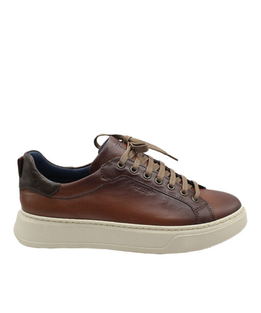 Alternative view of DAMIANI (4306)-COGNAC