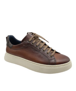 DAMIANI (4306)-COGNAC