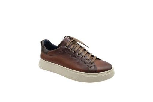 DAMIANI (4306)-COGNAC