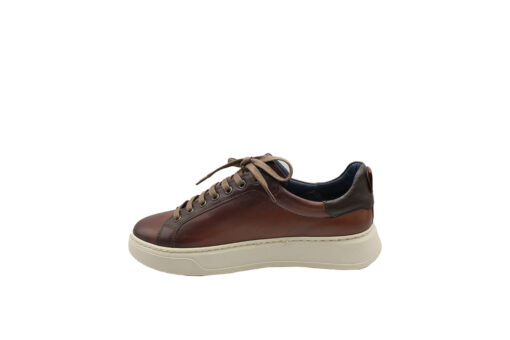 DAMIANI (4306)-COGNAC - Image 3