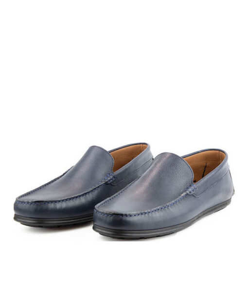 Alternative view of DAMIANI (1851)-BLUE