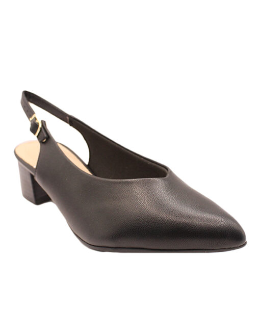 PICCADILLY (739031-56)-PRETO