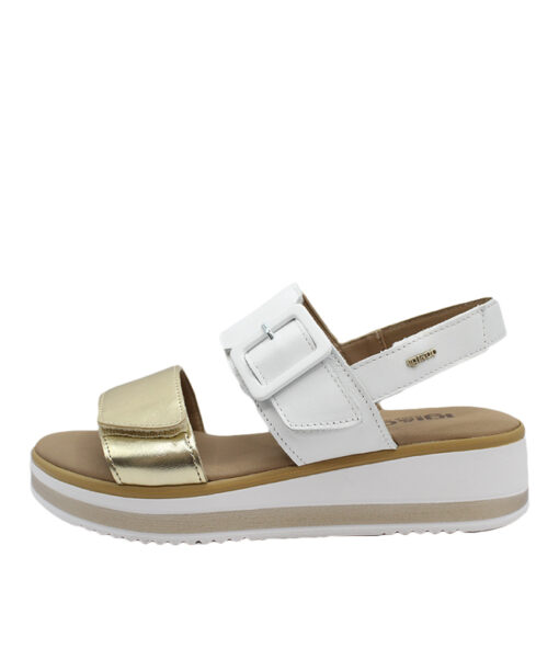 Alternative view of IGI&CO (5685422)-NAPPA