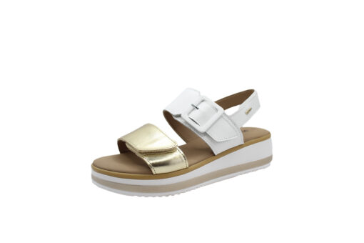 IGI&CO (5685422)-NAPPA