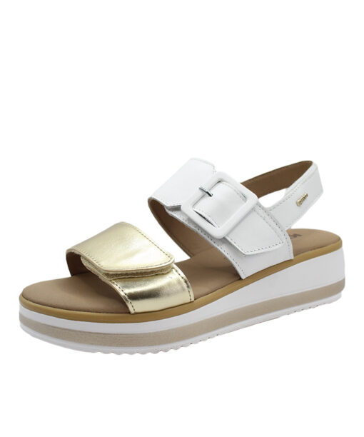 IGI&CO (5685422)-NAPPA