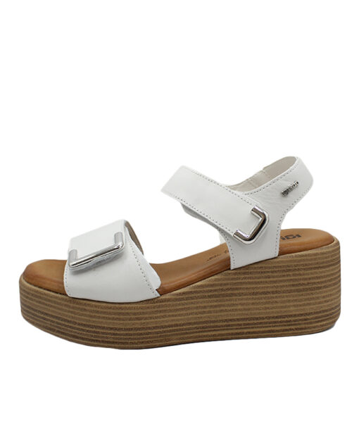 Alternative view of IGI&CO (5687311)-LATTE