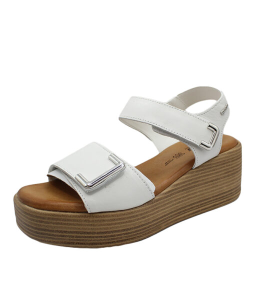 IGI&CO (5687311)-LATTE
