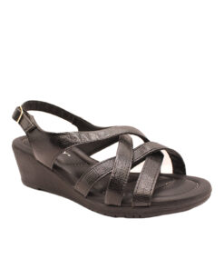 PICCADILLY (163022-3)-PRETO