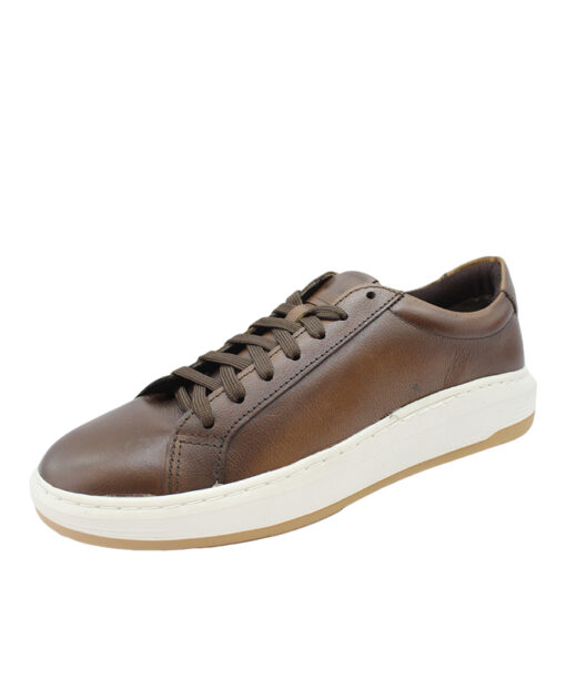 Democrata (240402-002)-TAN