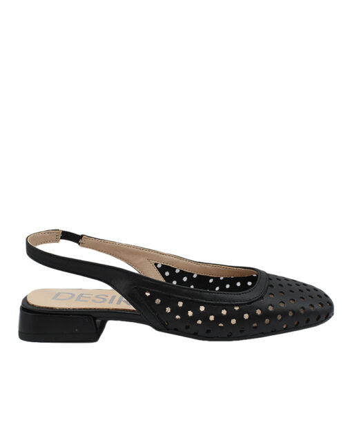 Alternative view of DESIREE (DATI6)-NEGRO