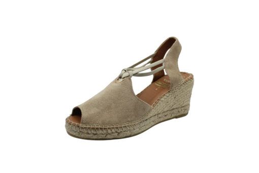 Viguera (2143)-DESERT