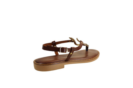 MYCONIAN (2282)-BROWN - Image 3