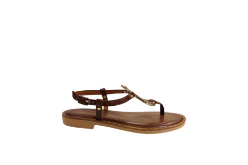 MYCONIAN (2282)-BROWN - Image 2