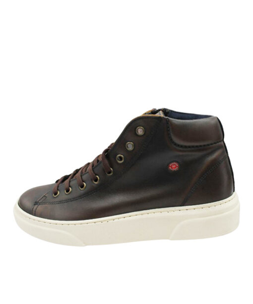 Alternative view of ROBINSON (69912)-BROWN