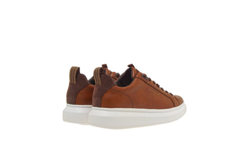 RENATO GARINI-ACE-KN0456 (U5700465377F)-TAN-BROWN-WHITE OUTSOLE - Image 3