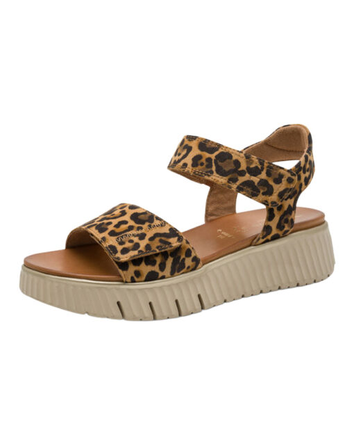 Tamaris Comfort (8-88720-44-903)-LEOPARD