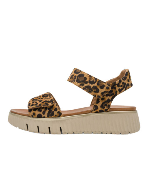 Alternative view of Tamaris Comfort (8-88720-44-903)-LEOPARD