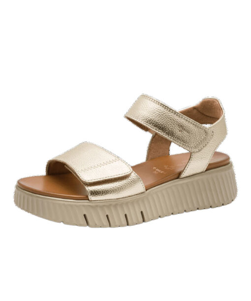 Tamaris Comfort (8-88720-44-909)-LT-GOLD